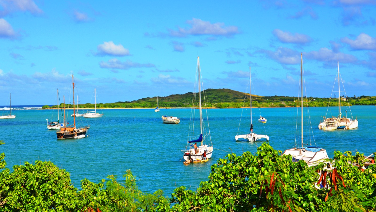 villa margarita st croix villa salt river marina Villa Margarita St Croix USVIVilla Margarita