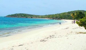 Cramers Park Beach in St Croix US Virgin Islands USVI