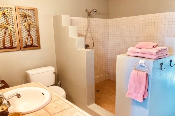 St Croix vacation rentals Holly's Beach Folly bathroom