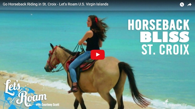 horseback riding in St Croix US Virgin Islands