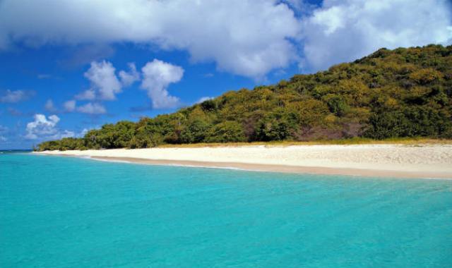 St Croix Turtle Beach Buck Island US Virgin Islands USVI