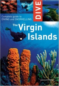 USVI diving guide