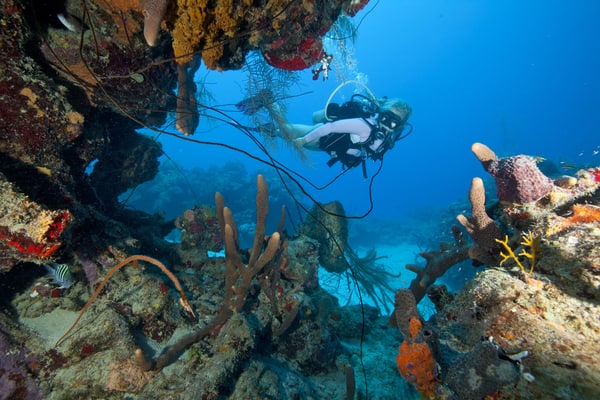 usvi diving and wreck diving