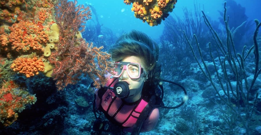 usvi diving coral