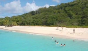 Turtle Beach Buck Island St Croix Us Virgin Islands