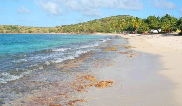 Cramer's Park Beach in St Croix US Virgin Islands USVI
