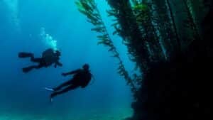 scuba diving St Croix USVI