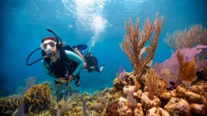 scuba diving St Croix