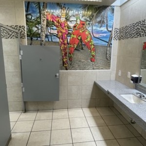 St Croix airport toilets