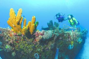 butler bay wreck diving site St Croix