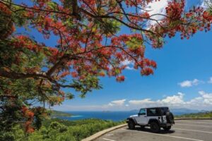 jeep flamboyant St Croix