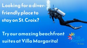 scuba diving accommodations St Croix USVI