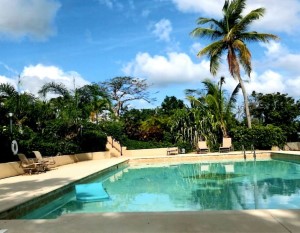 Estate Belvadere St Croix pool