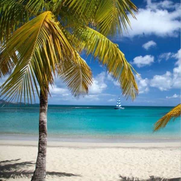 top 10 Best Beaches in St. Croix