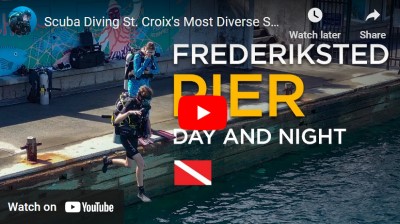 Fredericksted Pier St Croix dive site video
