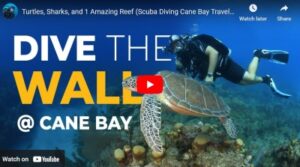 cane bay st croix dive site video