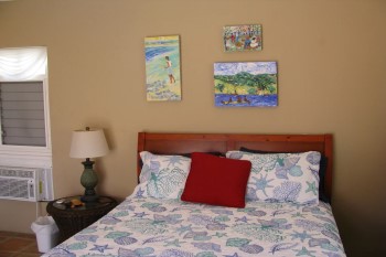 VRBO Villa Madeleine St Croix Dare to Dream bedroom