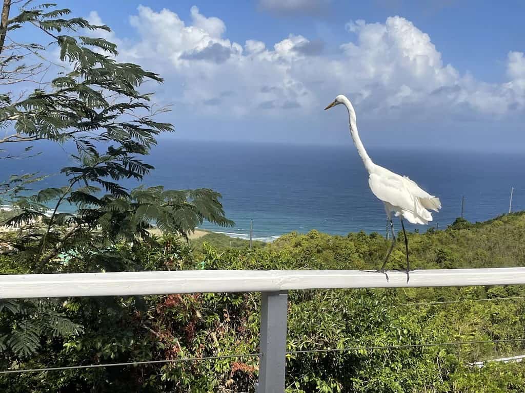 Airbnb Villa Concordia St. Croix view