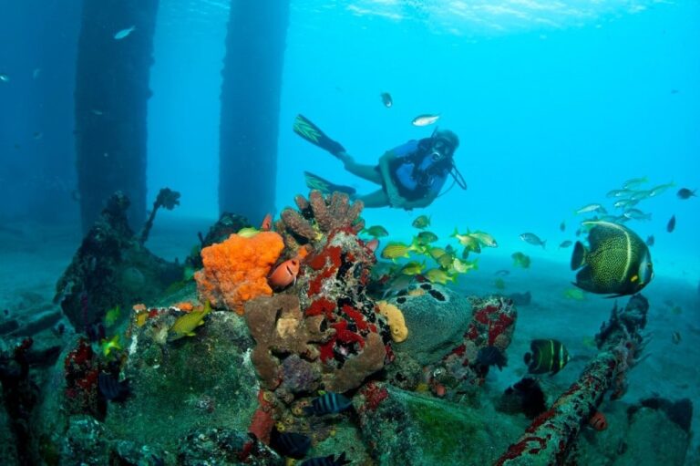 St Croix Dive Sites USVI Scuba diving maps, dive site guidesVilla