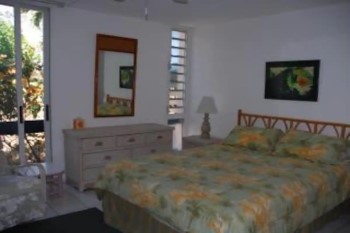 Gentle Winds St. Croix Greg's condo bedroom 2