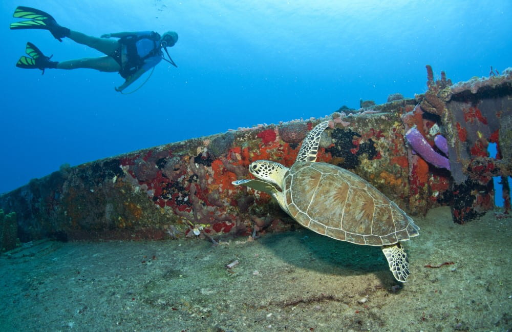 Photo of wreck diving in St. Croix
