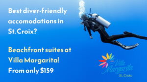 scuba diving accommodations in St Croix