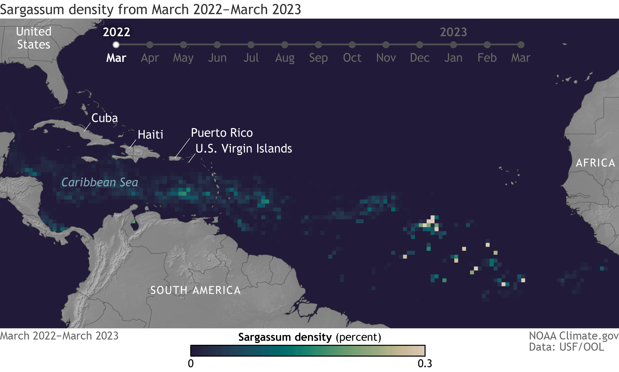 sargassum seaweed forecast map St Thomas Cancun Mexico Florida