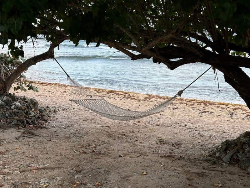 Gentle Winds St Croix hammock 2024 photos