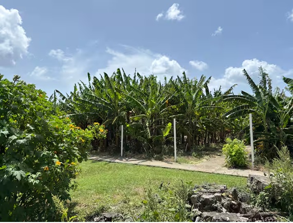 Mid-island farm stay St Croix
